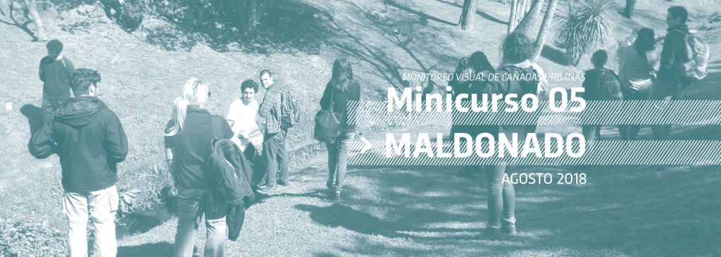 Banner-Minicurso-Maldonado